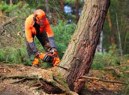 Mulching Services in Shorewood Tower Hills Harbert, MI